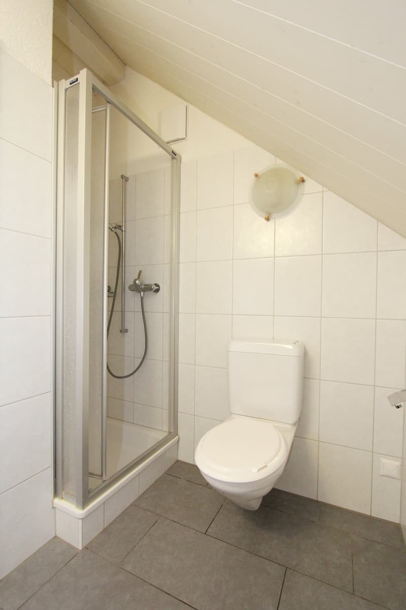 Bright and spacious 3½-room attic maisonette apartment (9)