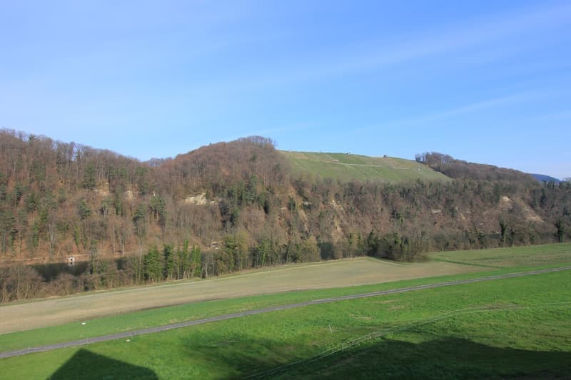 Bright 3.5-room apartment with additional office near the Rhine river (11)