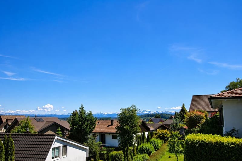 Attractive 5½-room single-family house with garage and beautiful mountain view (1)
