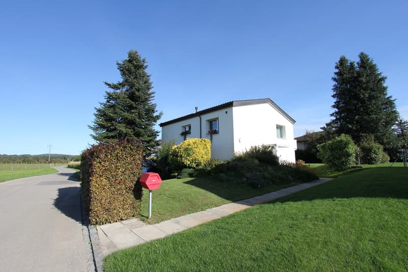 Casa unifamiliare ben curata in una posizione ottimale (1)