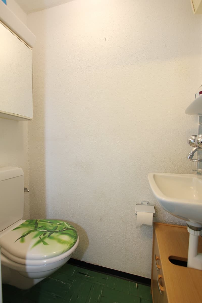 Casa unifamiliare ben curata in una posizione ottimale (11)