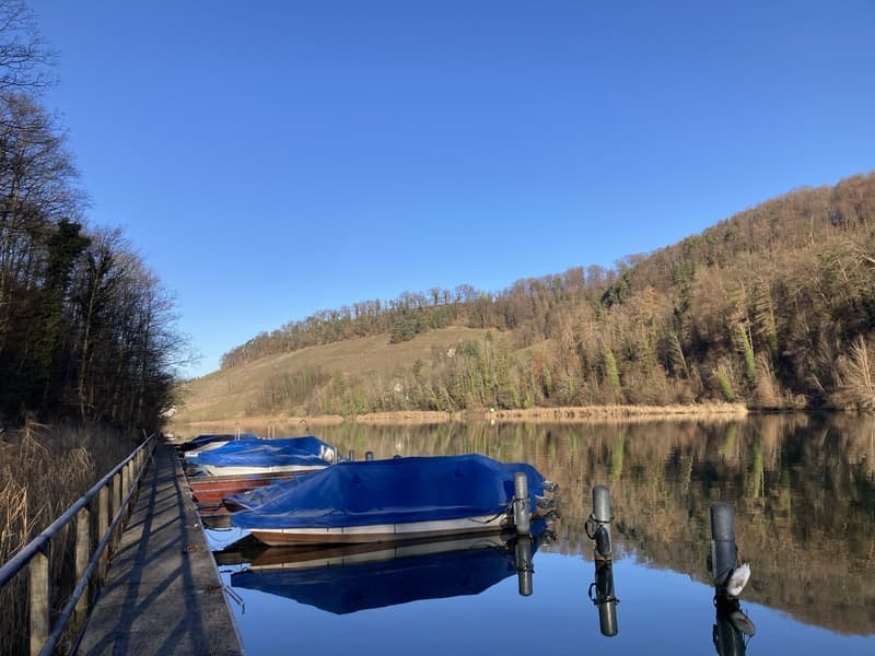 Bright 4.5-room apartment with beautiful views near the Rhine river (12)