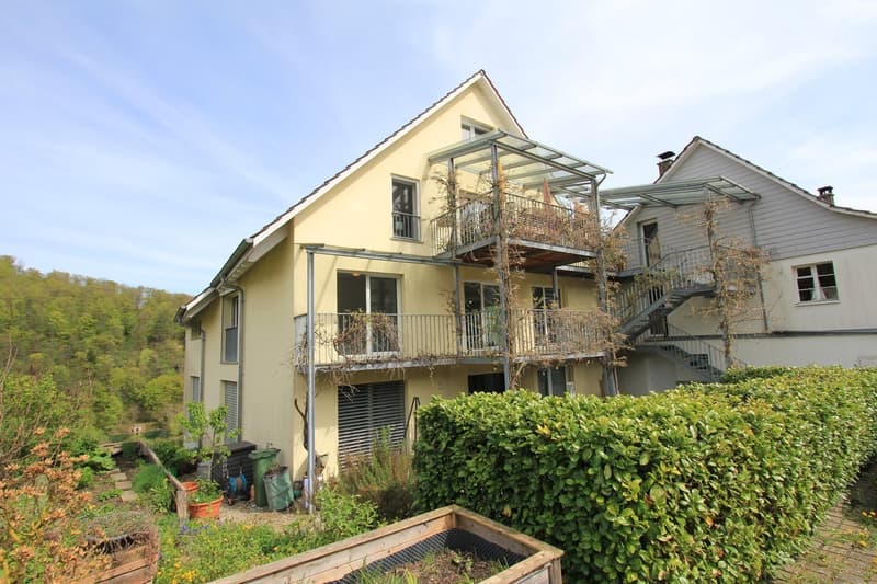 Bright 4.5-room apartment with beautiful views near the Rhine river (11)