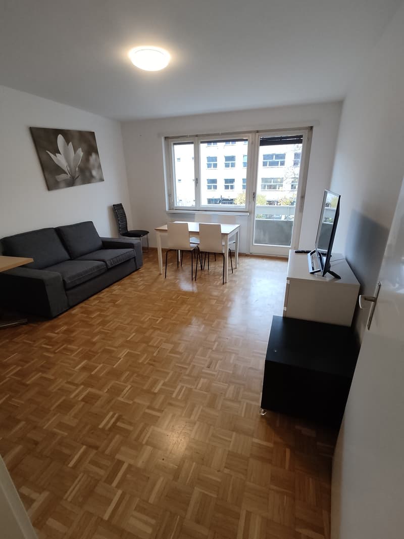 4.5 room Apartment in Gundeli (2)