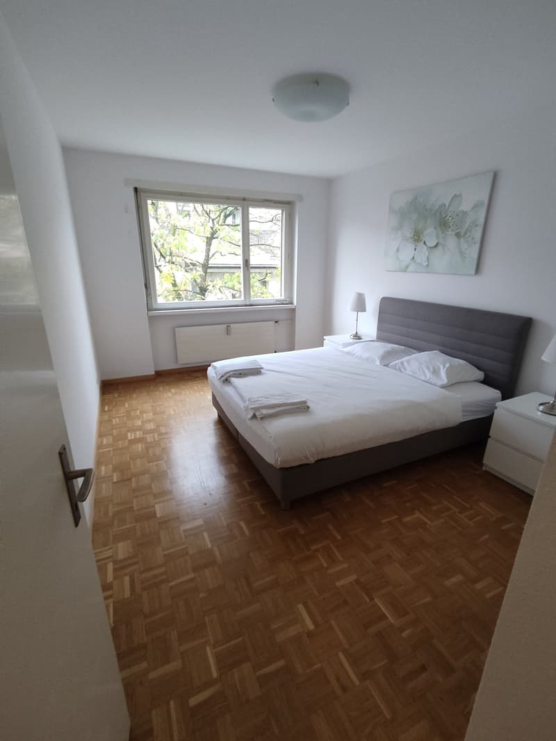 4.5 room Apartment in Gundeli (1)