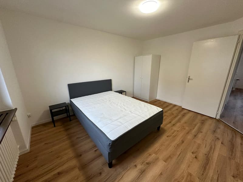 6.5 Room Apartment in Horgen (1)