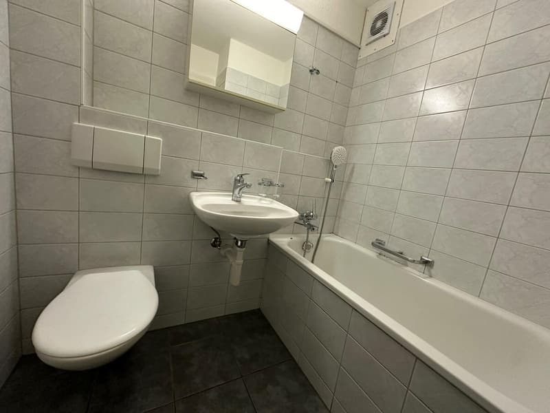 Bathroom with gray tile walls, white toilet, sink, and bathtub with shower head