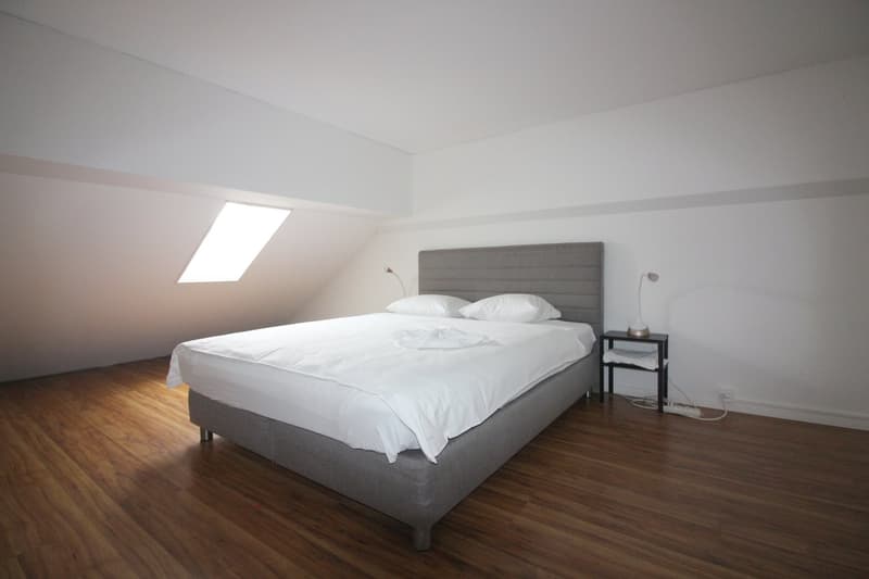 2.5 Zimmer Wohnung  mit 2 Schlafzimmern mit Dachterrasse in Hottingen (4)