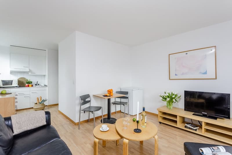 Open-concept living room and kitchen, hardwood floors, white walls, large windows, dining table, TV stand, black leather sofa, coffee tables, kitchen with white cabinets and appliances including a dishwasher