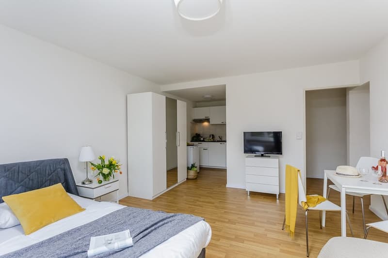 Open-plan studio apartment with hardwood floors, white walls, large windows, a bed, a sofa, a TV stand, and a kitchenette visible in the background.