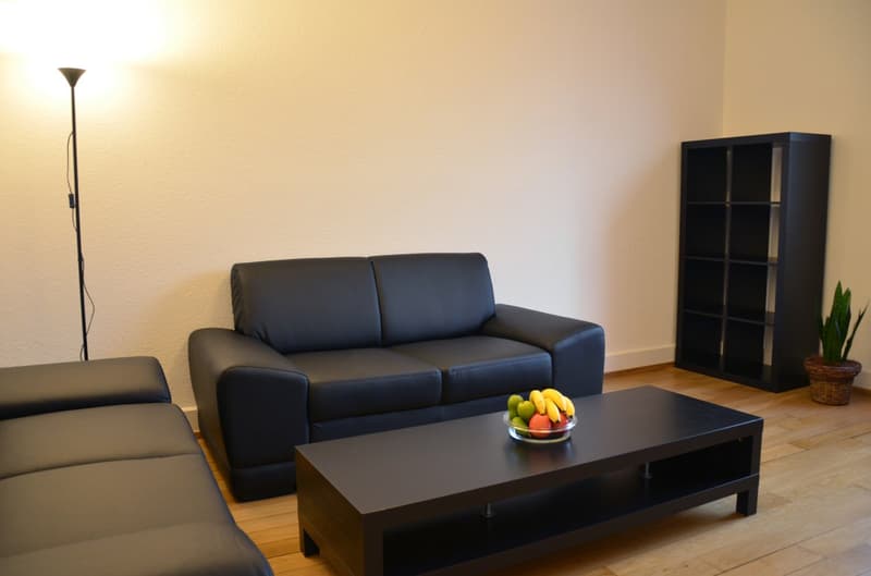 Black leather sofa, black coffee table, black bookshelf, floor lamp, potted plant