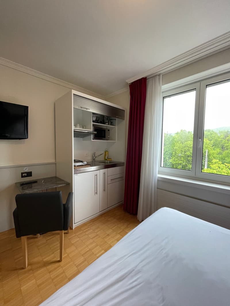 Studio am Irchel (3)