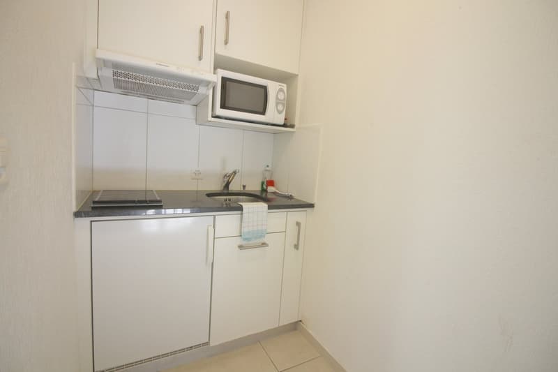 2 Zimmer Apartment Nähe Universität und Zentrum Zürich (4)