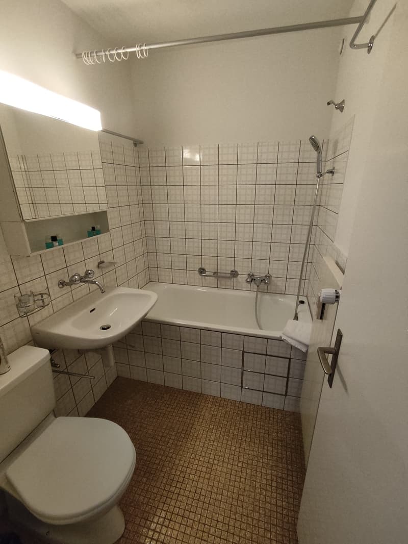 2.5 room Apartment in Gundeli (4)