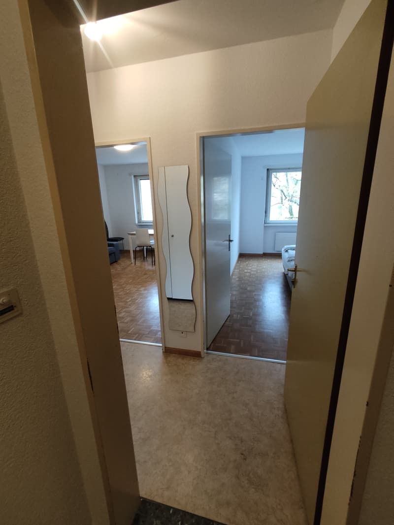2.5 room Apartment in Gundeli (8)