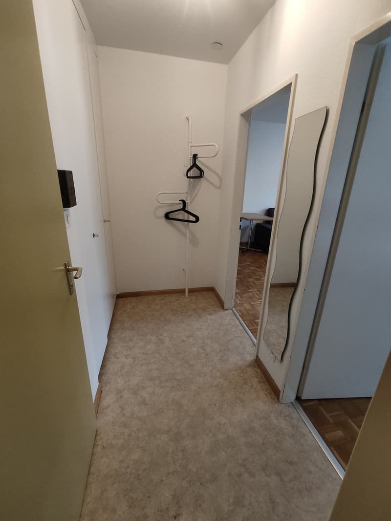 The image shows a hallway with white walls, a carpeted floor, and a mirror on the wall. There are two hangers on a rack near the entrance, and the hallway leads to another room.