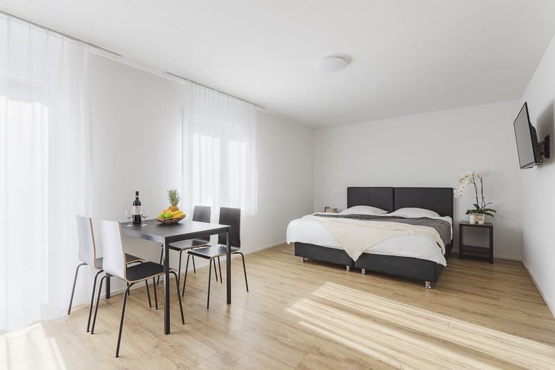 modern white room with wooden floor, a bed with headboard, white walls, a table with chairs, a mounted TV and a flower plant