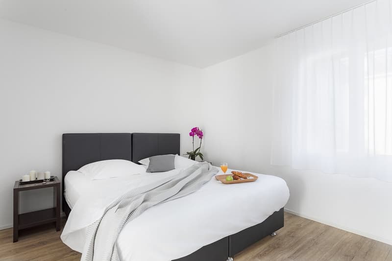 Modernes Apartment mit 2 Schlafzimmern in Wiedikon (5)