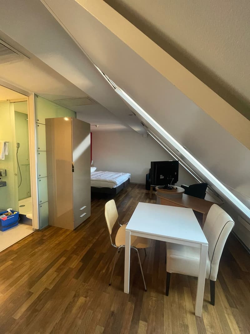 Studio am Irchel (6)