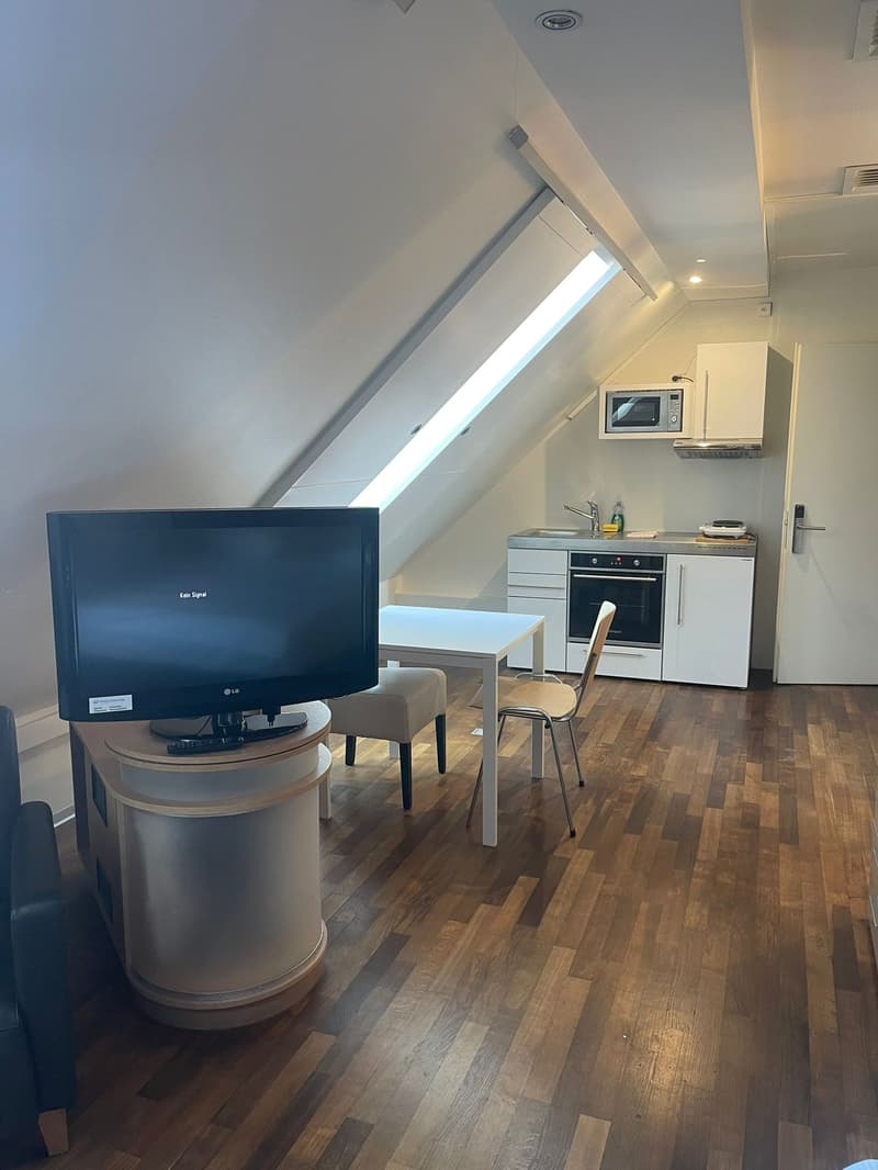 Studio am Irchel (1)