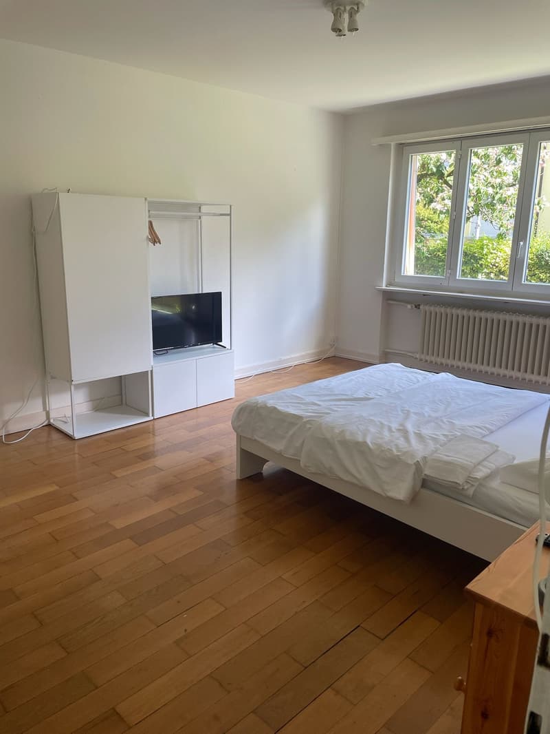 Charming 1.5-Room Apartment with Modern Amenities in Zürich (3)