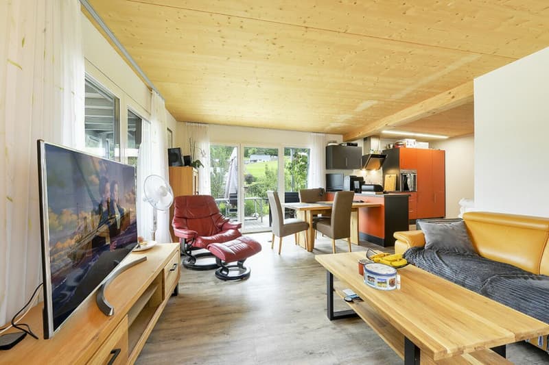 One- and two-family house on a large plot of land for self-use or as a rental property copy (2)