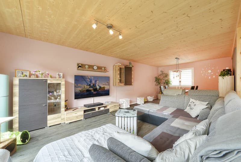 One- and two-family house on a large plot of land for self-use or as a rental property copy (13)