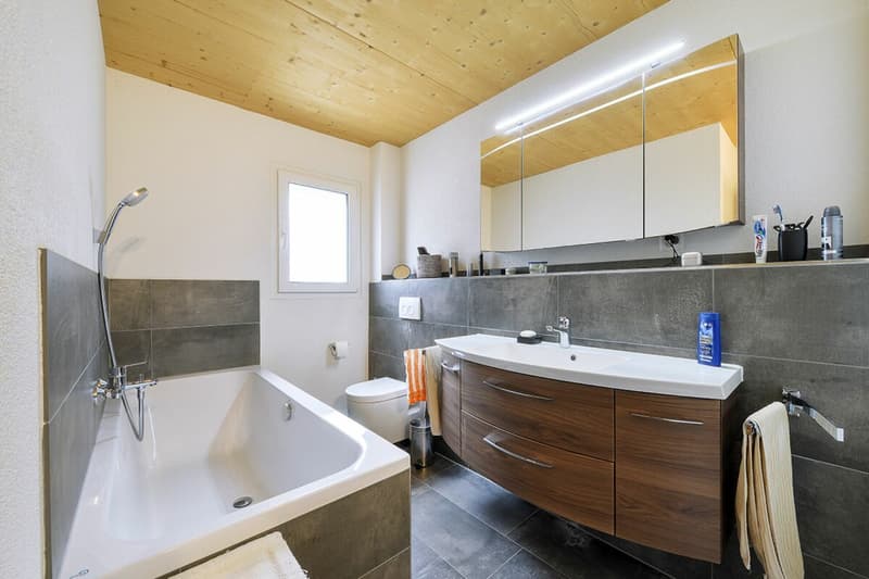 One- and two-family house on a large plot of land for self-use or as a rental property copy (18)