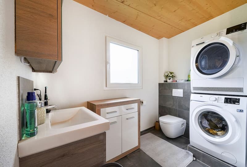 One- and two-family house on a large plot of land for self-use or as a rental property copy (6)