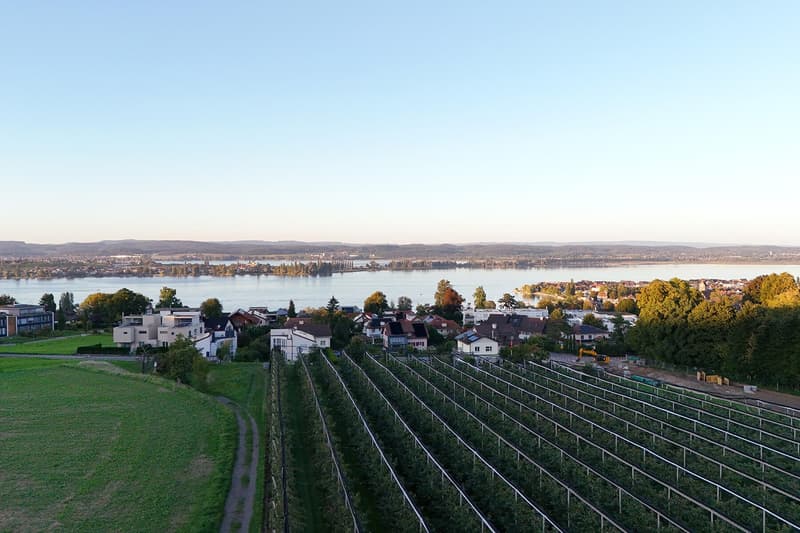See la vie - Wohngenuss am Bodensee (5)
