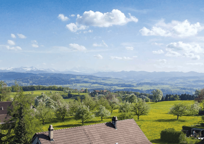 Dachwohnung mit Weitblick | 5½ Zimmer und viel Raum (8)