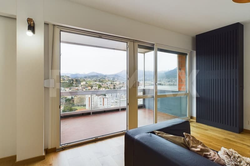 Renovierte 3½ Zimmerwohnung mit Aussicht auf die Bucht von Lugano (2)