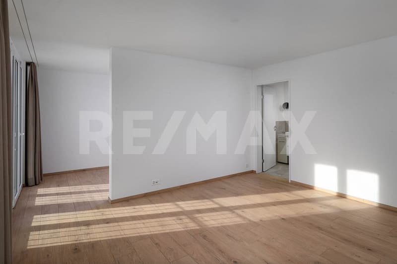 Appartamento di alta qualità di 4,5 locali con vista sul lago e sulla campagna senza ostacoli (8)