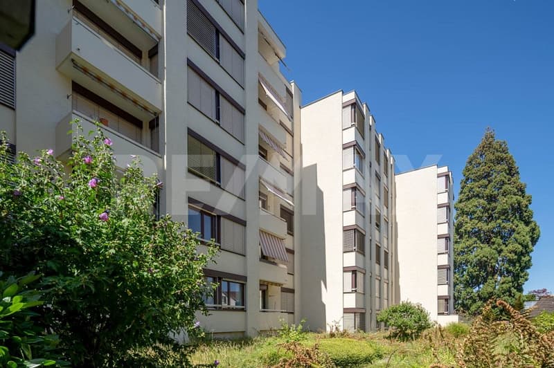 Charmante 1.5-Zimmer-Wohnung modernisiert und nur wenige Schritte vom Zürichsee (10)