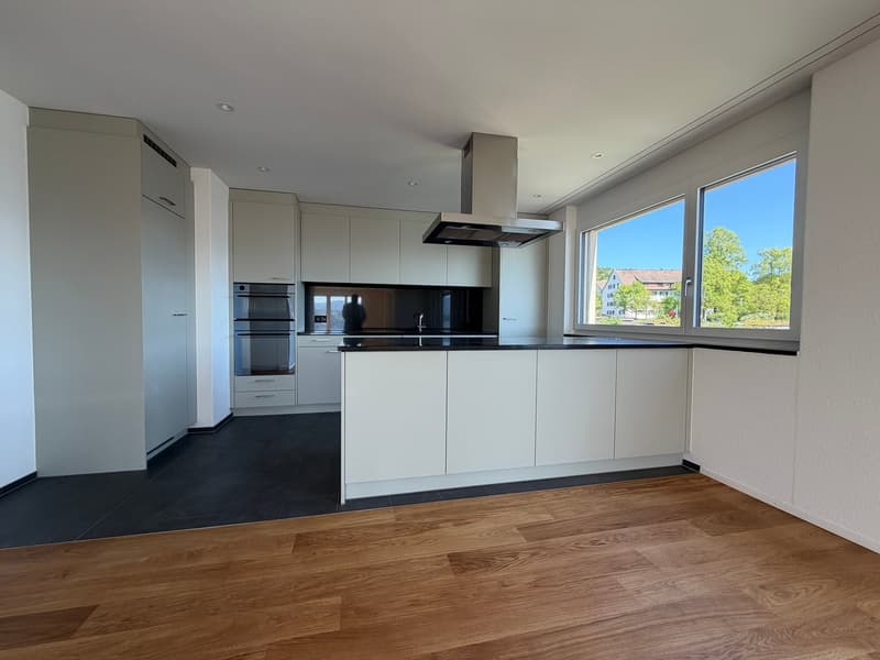 modern kitchen, white cabinets, black countertops, stainless steel appliances, large windows, wooden floor