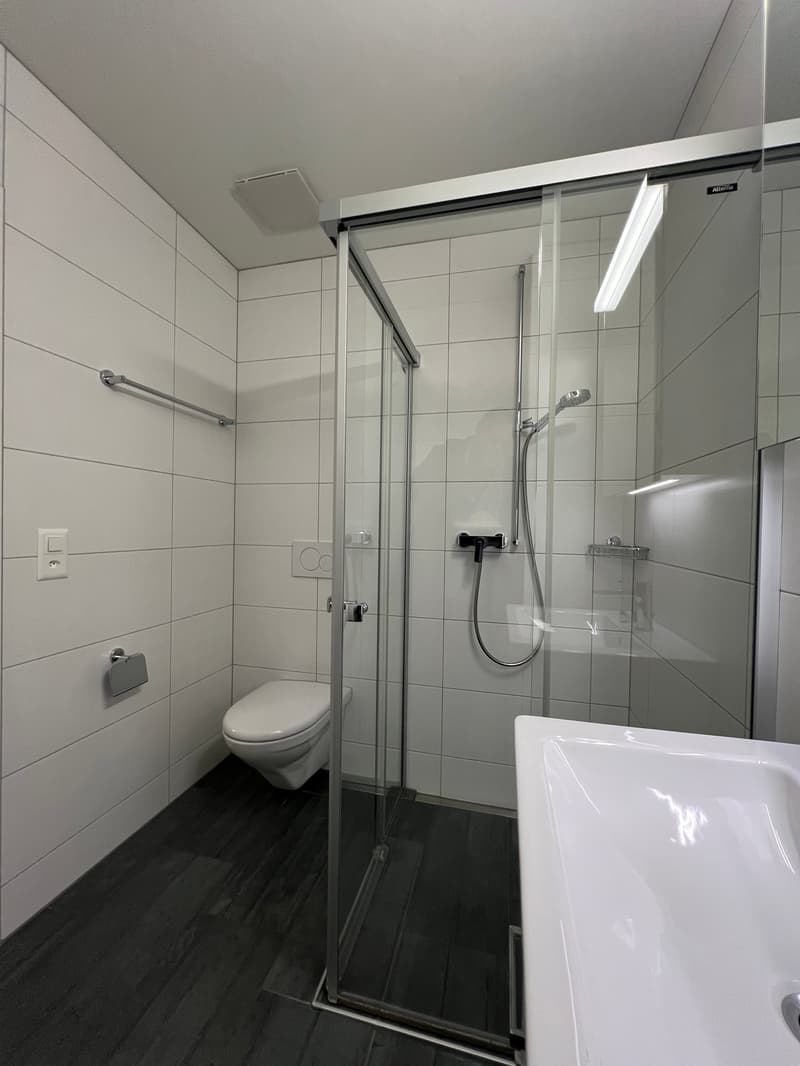 modern bathroom, white tiles, shower, toilet, sink