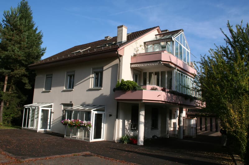 Aussenansicht II