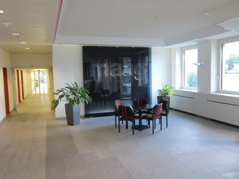 Aree tra 24 m2 e 122 m2 in affitto (3)