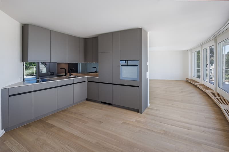 Appartamento attico esclusivo su Zürichberg, prima occupazione dopo ristrutturazione (2)