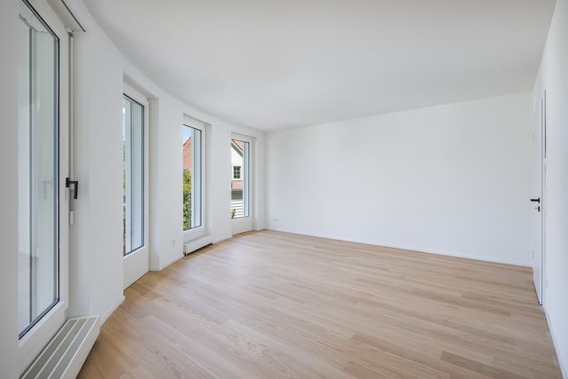 Appartamento attico esclusivo su Zürichberg, prima occupazione dopo ristrutturazione (6)