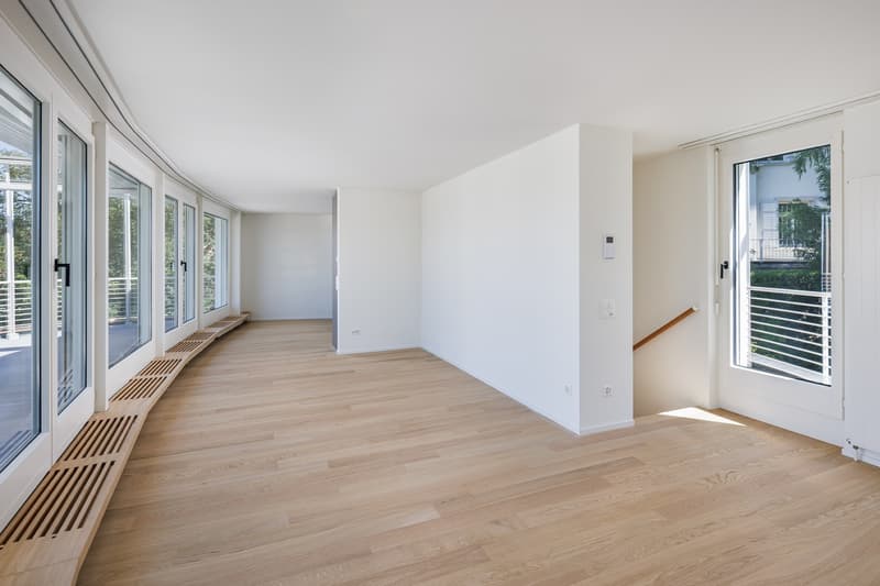 Appartamento attico esclusivo su Zürichberg, prima occupazione dopo ristrutturazione (3)