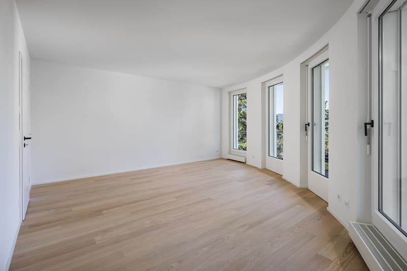 Appartamento attico esclusivo su Zürichberg, prima occupazione dopo ristrutturazione (5)