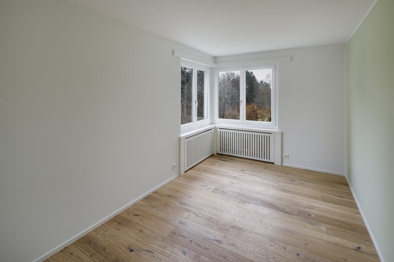3.5 - Room apartment in a very sunny location in Pfaffhausen (7)