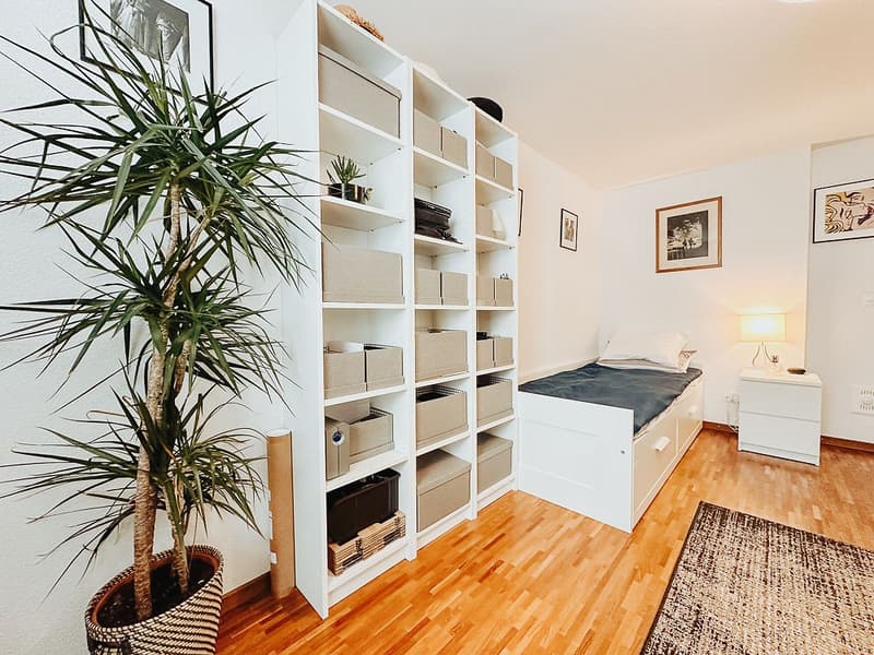 Bright 3.5 room apartment at Klosterplatz with a lot of charm (8)