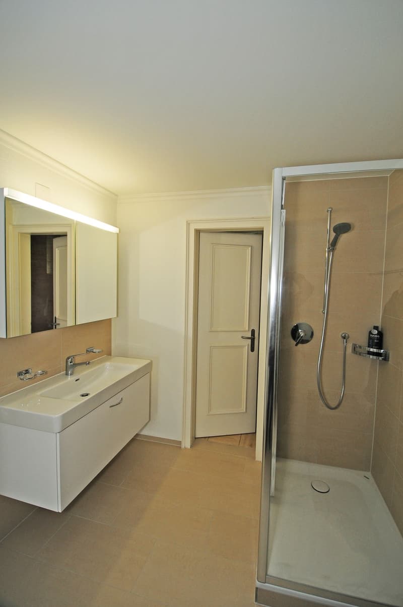Beautiful 2.5-room apartment with direct view of Lake Zurich (3)