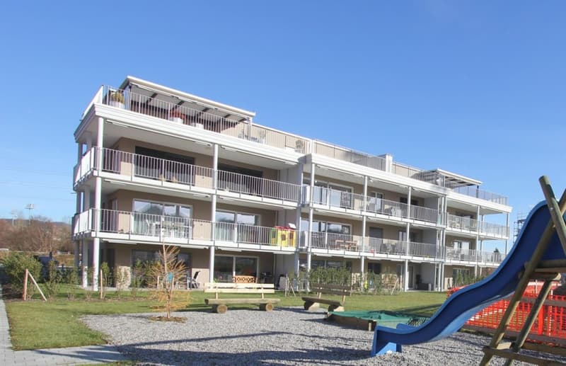 Moderne Attikawohnung mit grosser Terrasse (18)