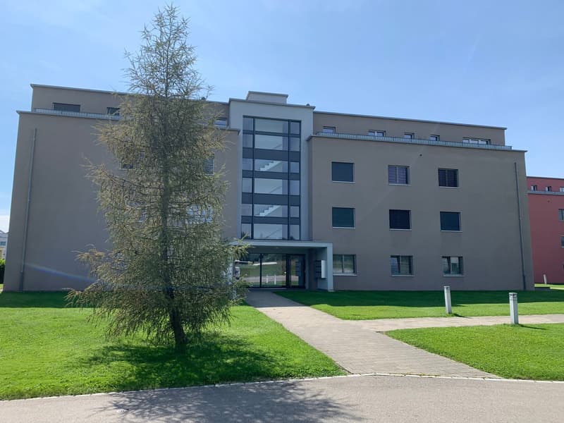 Moderne Attikawohnung mit grosser Terrasse (2)