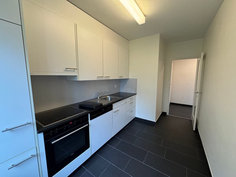 modern kitchen with white cabinets, black tiled floor, induction hob, dishwasher, washing machine, sink, faucet, overhead light