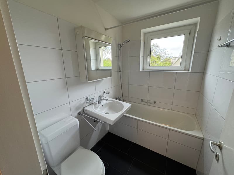 white tiles, white toilet, white sink, bathtub, shower, mirror, window