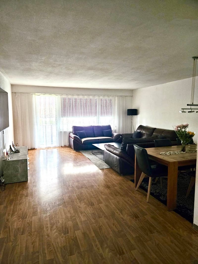 Spacious apartment in a quiet location (5)